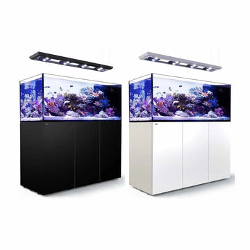 Red Sea Reefer Peninsula P650 Deluxe 650 Litre Aquarium White - Amazing Amazon